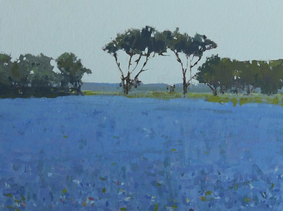 Borage Fields (SOLD)