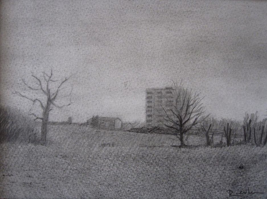 Playing Fields