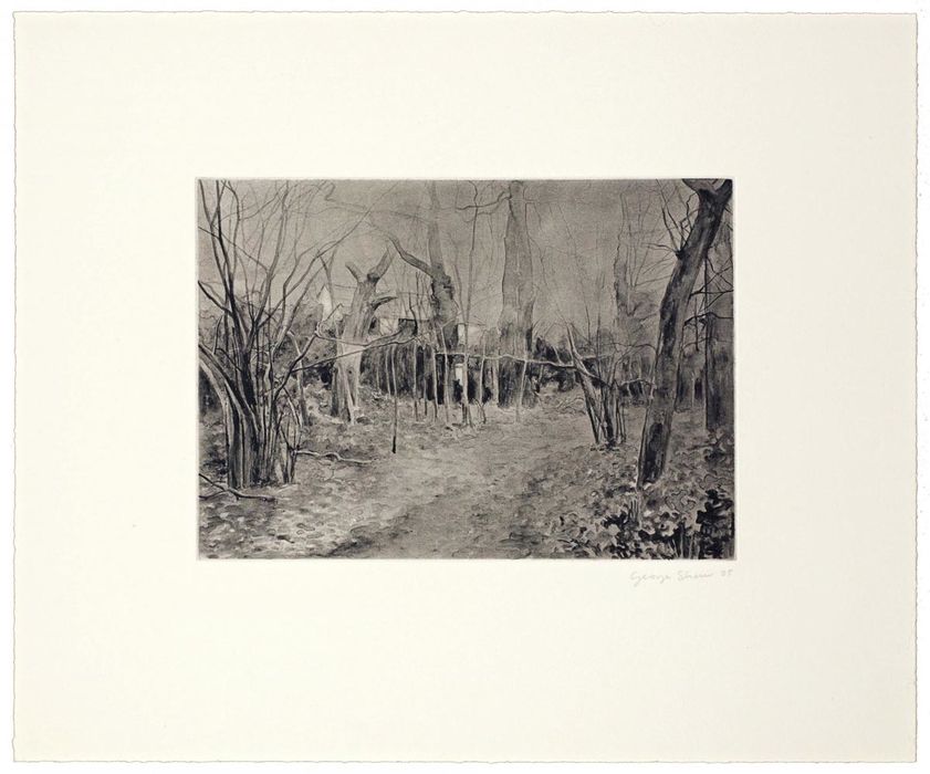 Twelve Short Walks 2 - signed etching 35/42