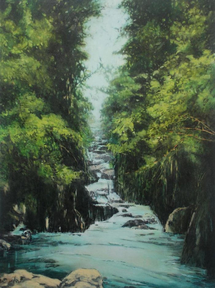Waterfall (Fairy Glen)