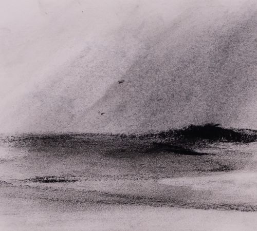 Land & Sea Study 1